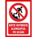 Placuta de interzicere este interzis alergatul pe scari